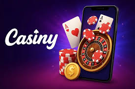 Discover the Benefits of the Casiny VIP Program 33