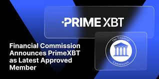 A Comprehensive Guide to PrimeXBT Forex Trading